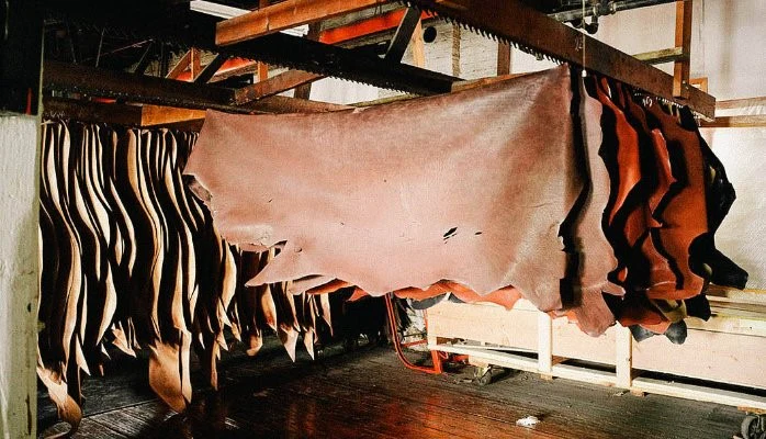 Why Leather Matters in Pakistan