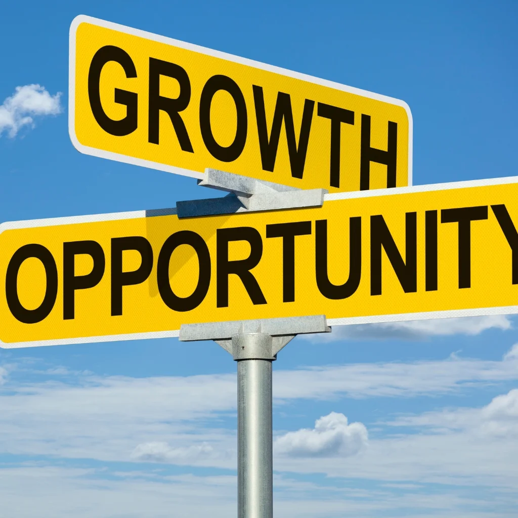 Future Growth Opportunities​